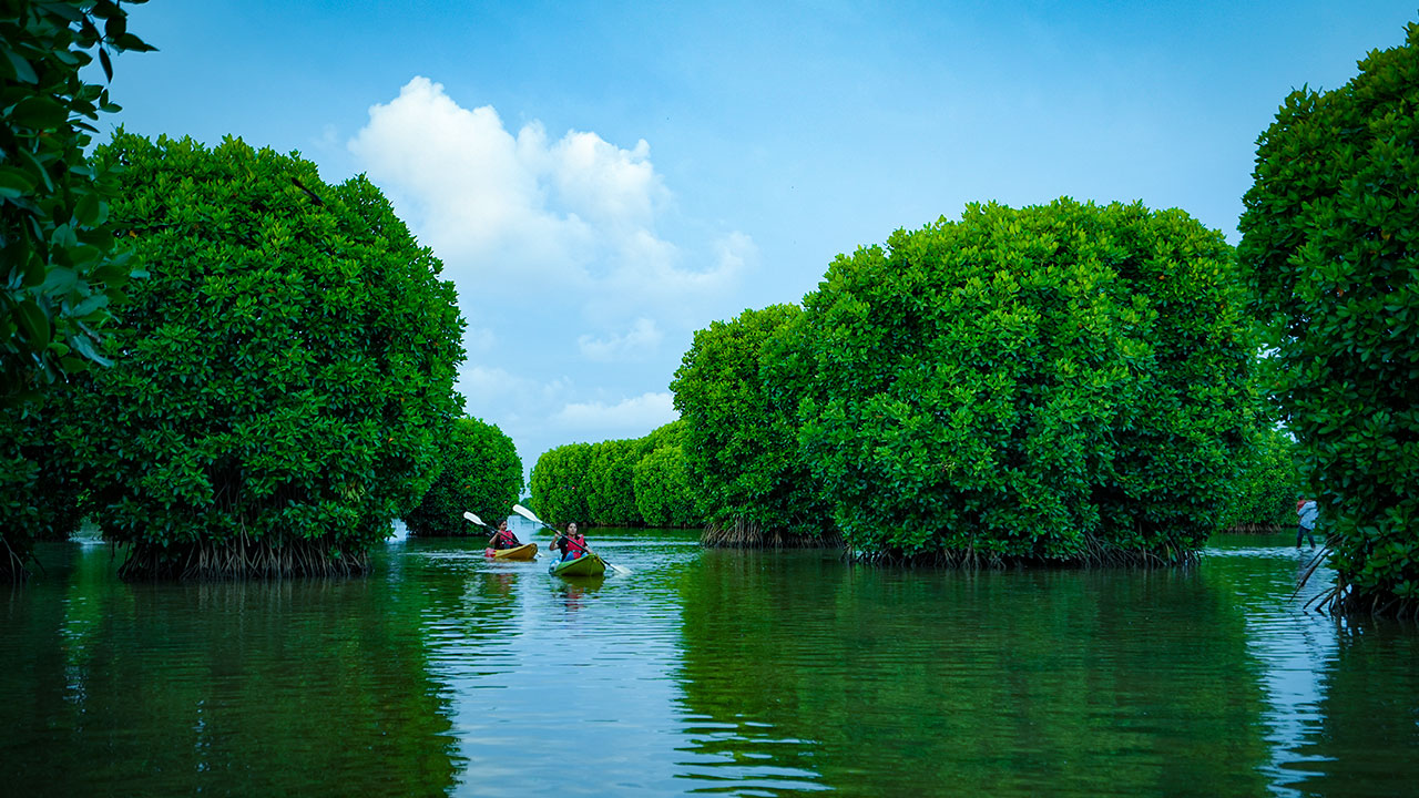 Kerala Gallery