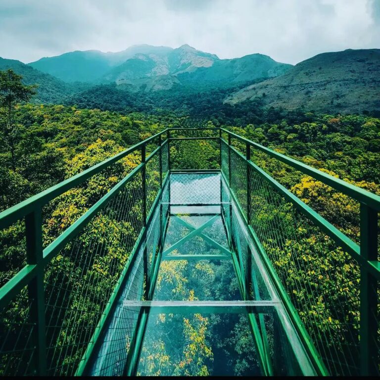 Wayanad - Nature’s Abode