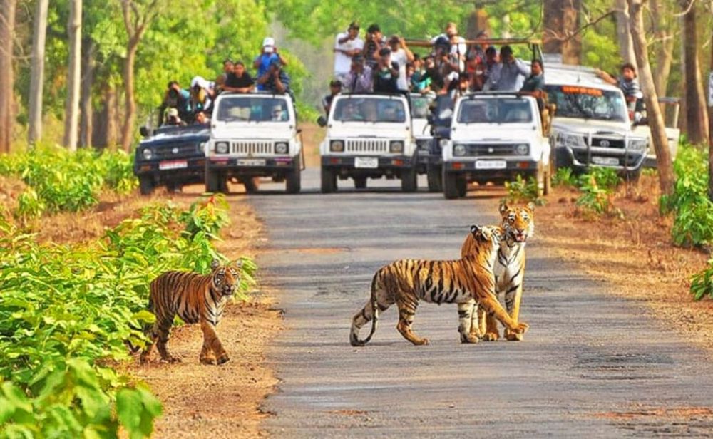 Kanha National Park