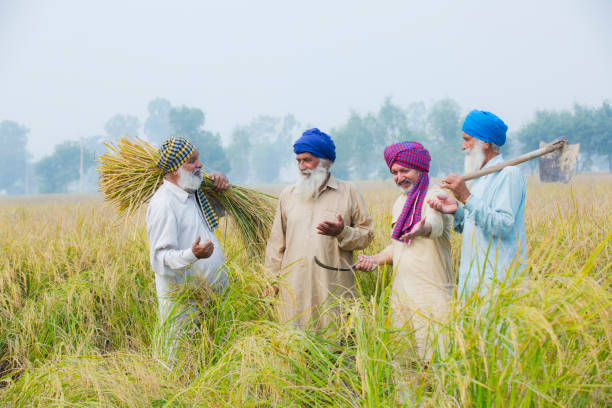 Punjab Gallery